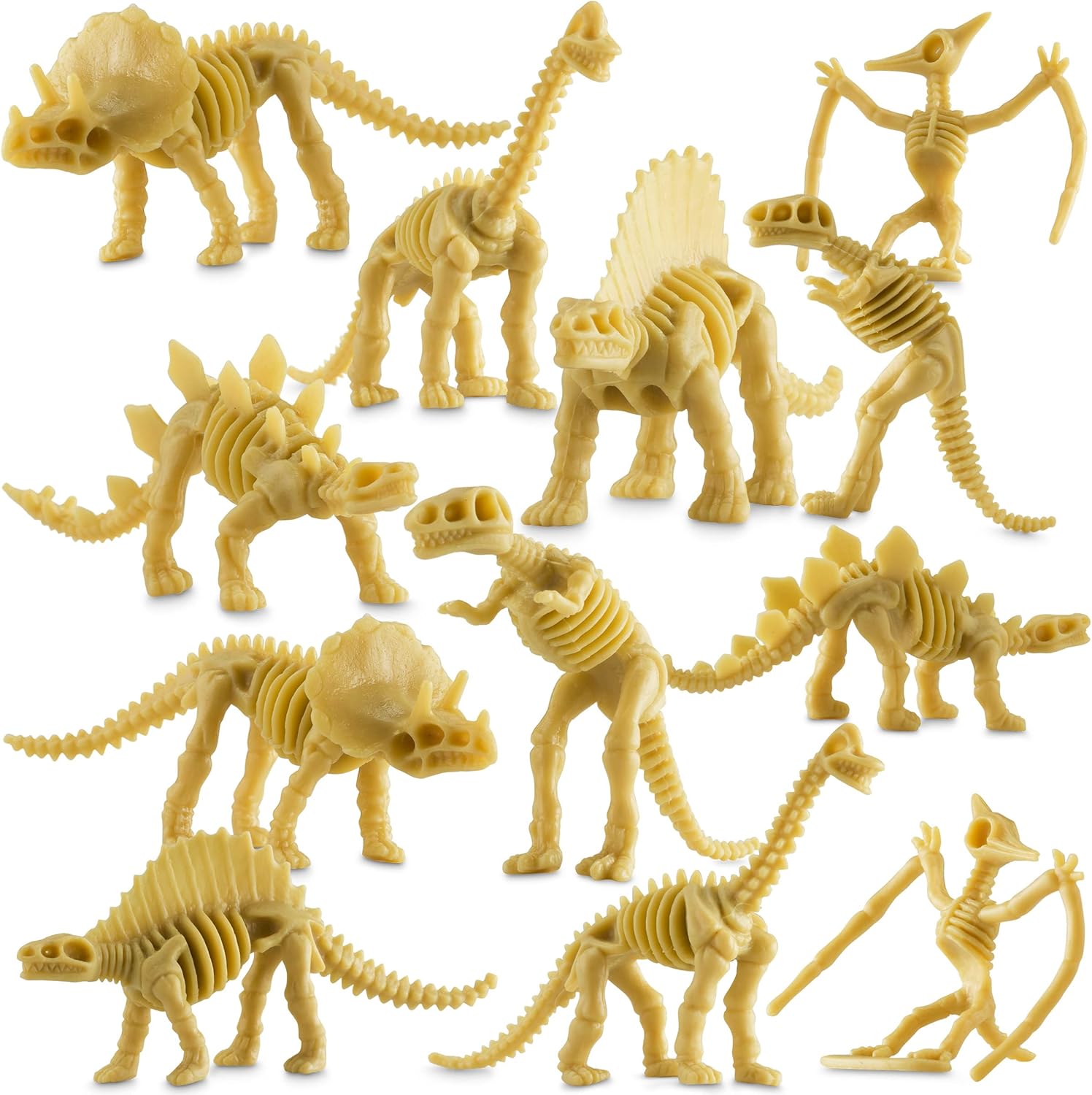 Bedwina Dinosaur Fossil Skeleton - Paleontologist Toys for Kids