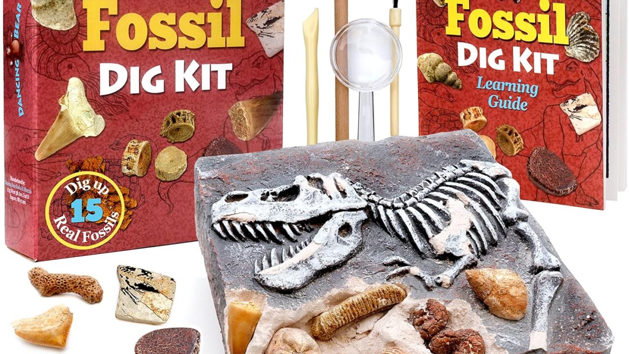10 Fun Paleontologist Toys for Kids Obsessed with Dinosaurs