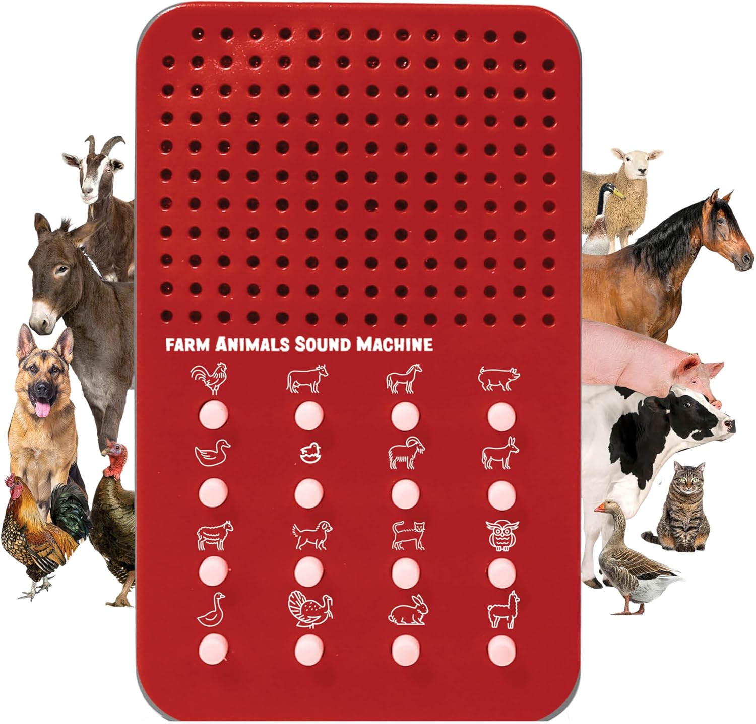 Farm Noisemaker with 16 Farm Animal Sounds - Farmer Toys for Kids